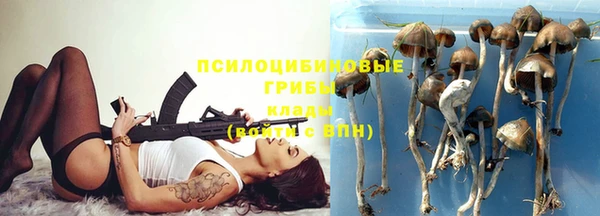 мяу мяу мука Мегион