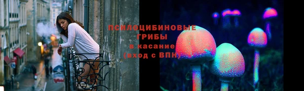 мяу мяу мука Мегион