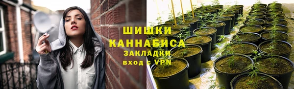 соль курить ск Бежецк