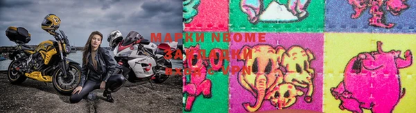 мяу мяу мука Мегион